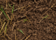 Midwest Compost in Elgin, Illinois