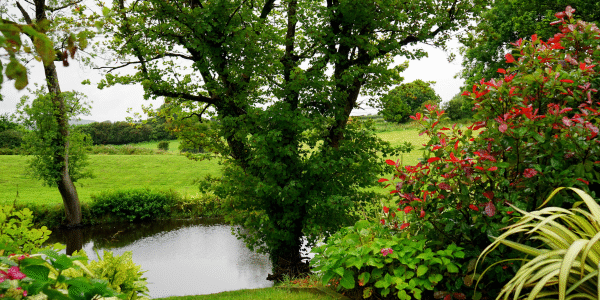 Essential Autumn Landscaping