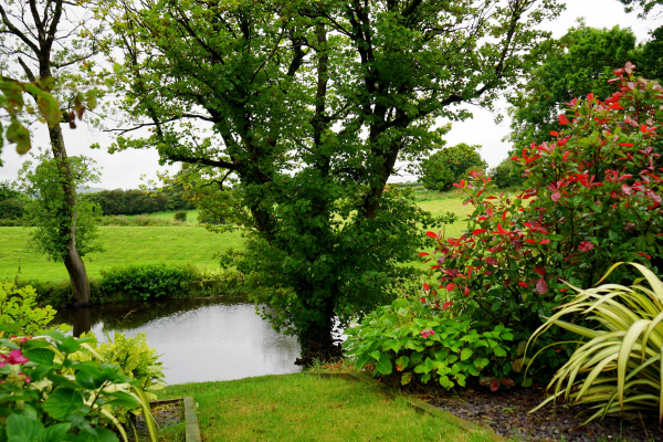 Essential Autumn Landscaping